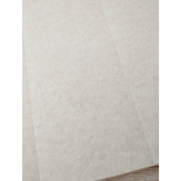 Astroparche Business Cards 65lb Card Stock Wausau Papers Professional Series - Picture 2 of 6